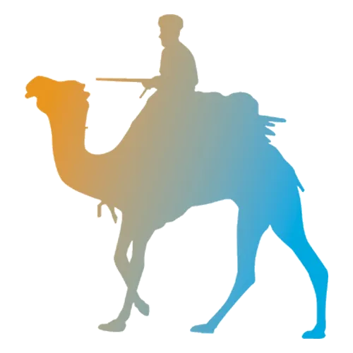 Camel Ride